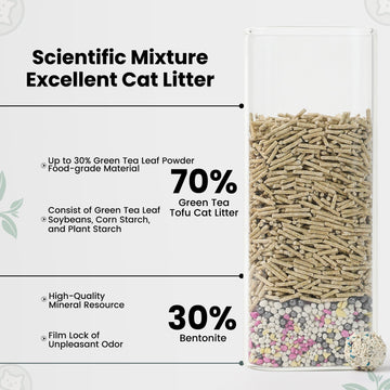 Noisy Lion Green Tea tofu cat litter for summer odour control in Canadian homes