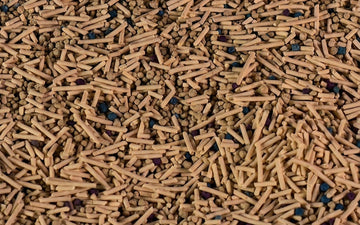 Close-up of tofu cat litter pellets — the 10-day method to switch cat litter