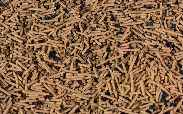 Close-up of tofu cat litter pellets — the 10-day method to switch cat litter