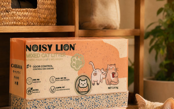 Two cats beside Noisy Lion litter boxes — best cat litter for multi-cat households in Canada