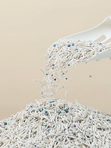The Ultimate Guide to Plant-Based Cat Litter: A Look at Mixed Tofu Cat Litter - Noisylion