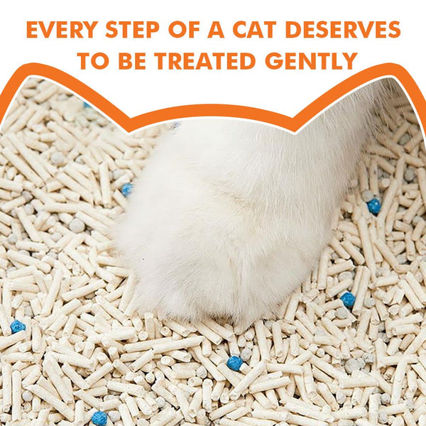 Noisy Lion low-dust plant-based tofu cat litter suitable for kittens in Canada