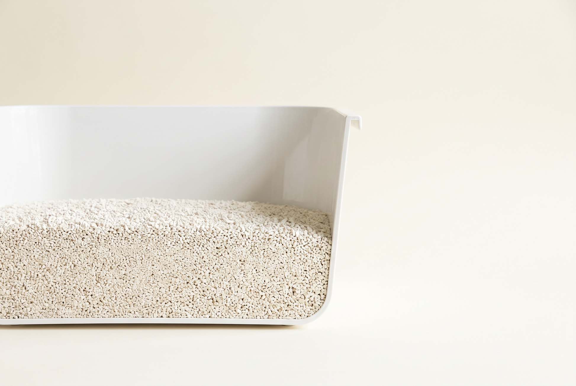 Cassava cat litter filled to proper depth in a litter box
