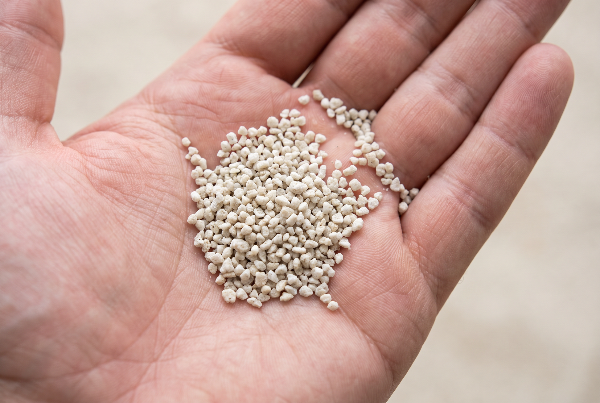 Cassava cat litter granules close-up in hand — small, light, low-dust