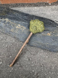 Catnip Lollipop Cat Toy with a flower-shaped catnip head