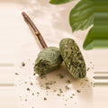 Catnip Lollipop Cat Toy — pressed catnip and silvervine head on a natural silvervine stick, with loose catnip