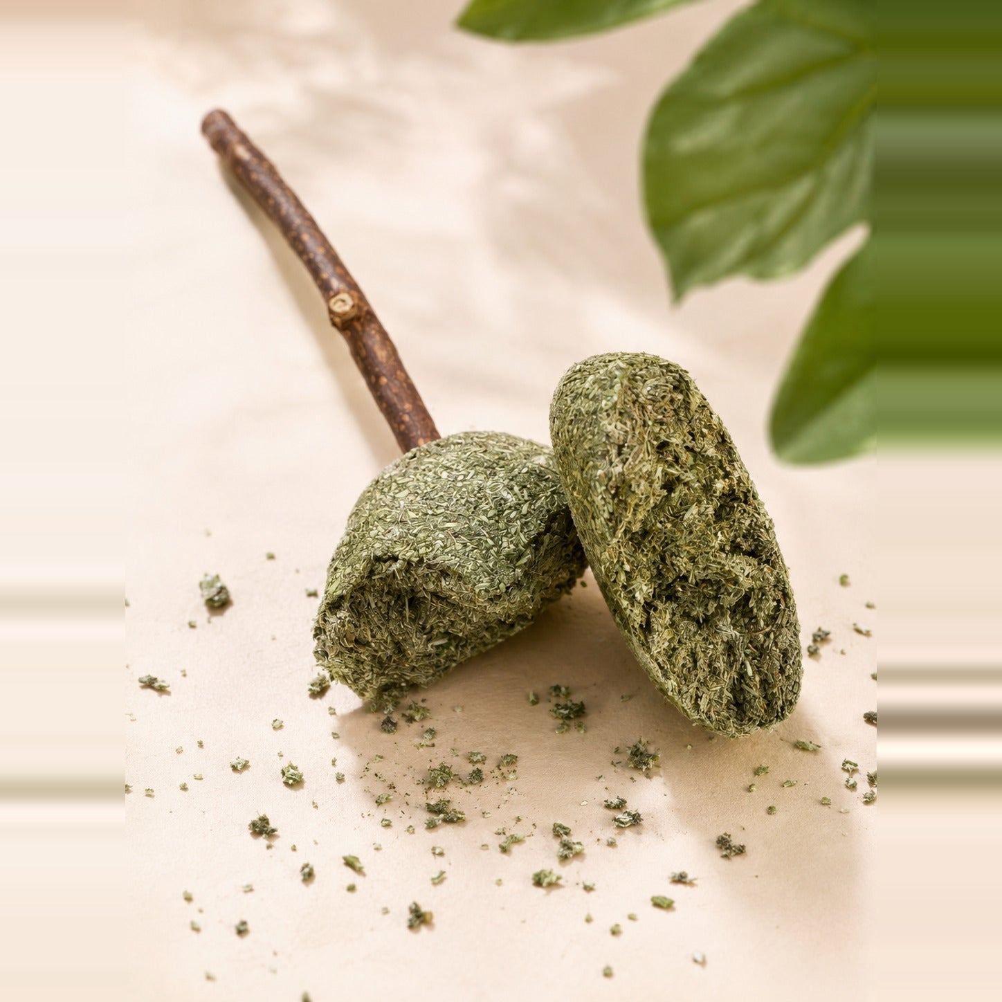 Catnip Lollipop Cat Toy — pressed catnip and silvervine head on a natural silvervine stick, with loose catnip